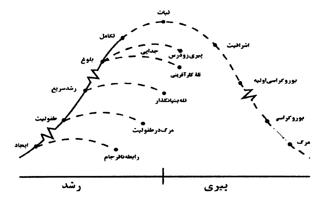 شکل ۲ منحنی دوره عمر سازمانی
